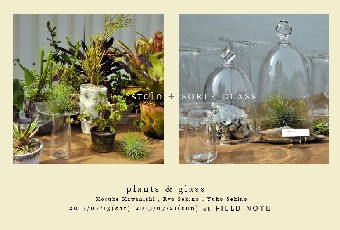 plants&glass.jpg